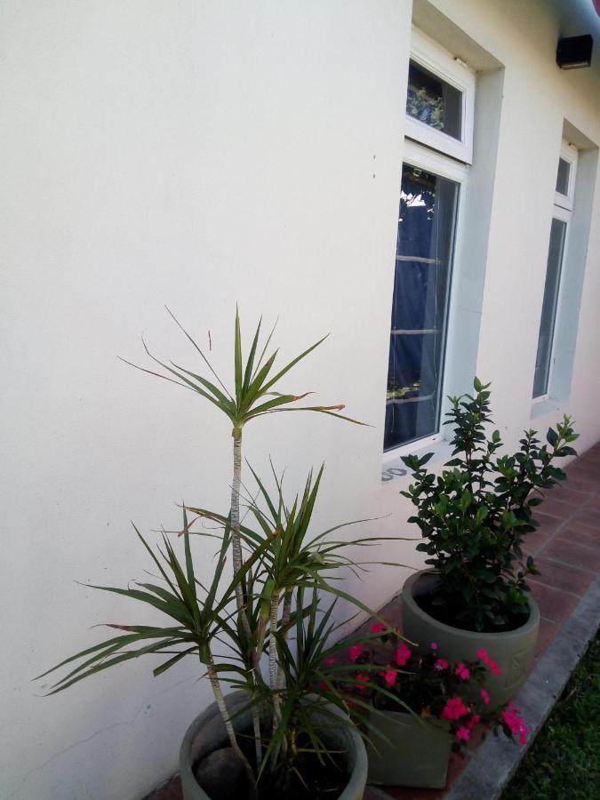 El Zohar 2 Pax Apartment Federacion